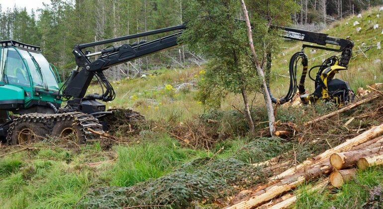 Quality forestry equipment