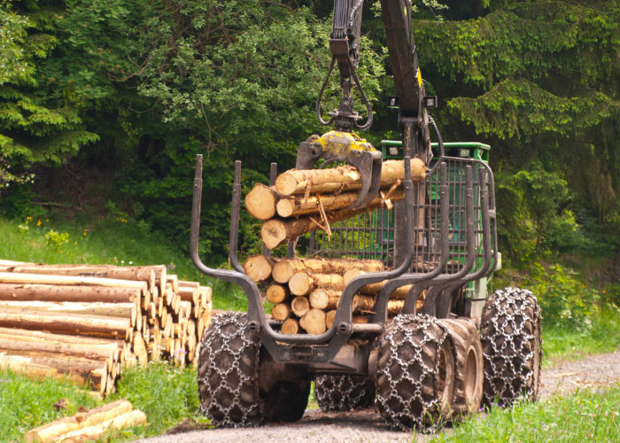 Financez votre équipement forestier avec le crédit-bail