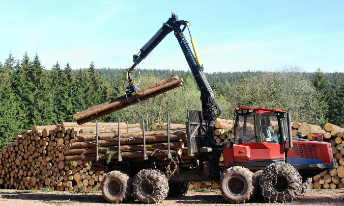 How to quickly obtain financing for your forestry equipment in 3 easy steps