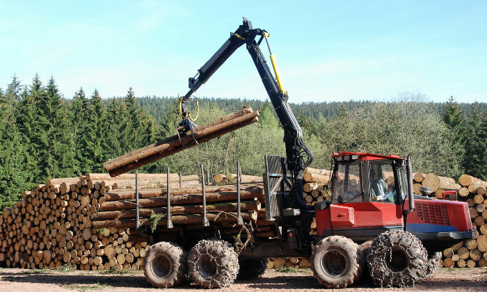 Obtenir le financement de votre équipement forestier en 3 étapes faciles